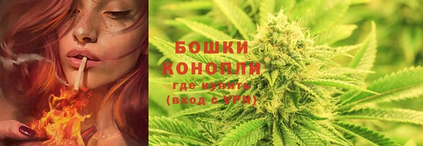 прущие крисы Покачи