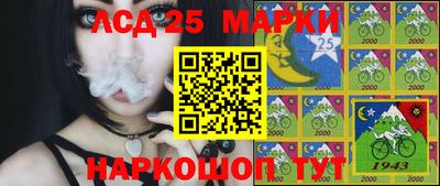 круглые Бийск