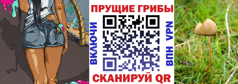 Галлюциногенные грибы ЛСД ОМГ ОМГ сайт Благодарный