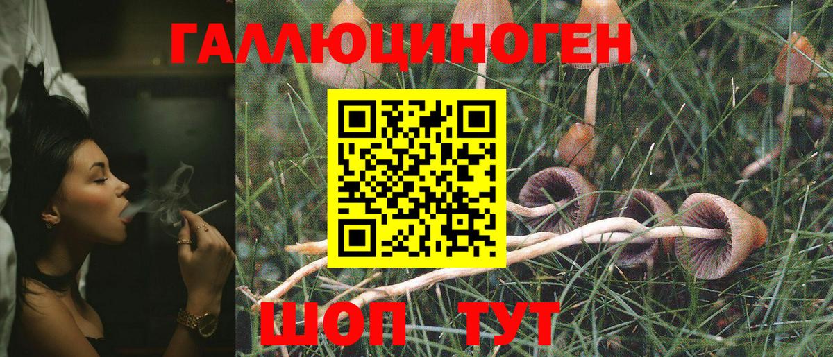 Псилоцибиновые грибы Psilocybine cubensis  купить наркотик  Благодарный  Вход с VPN 